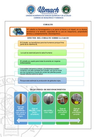 UNIDAD ACADÉMICA DE CIENCIAS QUÍMICAS Y DE LA SALUD
CARRERA DE BIOQUÍMICA Y FARMACIA
COBALTO
EFECTOS DEL COBALTO SOBRE LA SALUD
REACCIONES DE RECONOCIMIENTO
•El cobalto es ferromagnetico y se parce al hierro y al niquel, en su dureza,
resistencia a la tensión, capacidad de su uso en maquinaria, propiedades
térmica y comportamiento electroquímico.
El Cobalto es beneficioso para los humanos porque frma
parte de la vitamina B1
La cual es esencial para la salud humana
El cobalto es usado para tratar la anemis en mujeres
embarazadas
Los suelos cercanos a minas y fundiciones pueden
contener una alta cantidad de Cobalto, asi que la toma
por los humanos a través de comer las plantas puede
causar efectos sobre la salud.
Porque este estimula la producción de globulos rojos.
Con los
álcalis
causticos.-
color pardo y
finalmente
negro.
Con el
NH4OH.- color
pardo-
amarllento
con el SH2.-
color negro
Con el
Fe(CH)6K4.-
precipitado
verde
Con el
NO2K.-
precipitado
amarillo
 