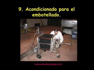 www.estudiaenologia.com 9. Acondicionado para el embotellado. 