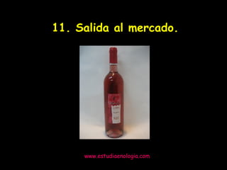 www.estudiaenologia.com 11. Salida al mercado. 