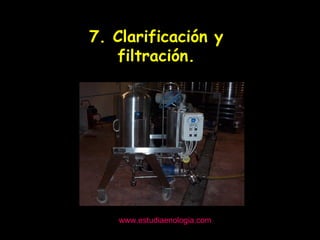 www.estudiaenologia.com 7. Clarificación y filtración. 