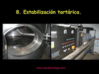 www.estudiaenologia.com 8. Estabilización tartárica. 