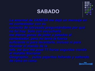 SABADO La anormal de VANESA me dejó un mensaje en mi contestador con su vocecita de retrasada preguntándome por qué no fui hoy. Sólo con escucharla me dieron ganas de joder a patadas al contestador, pero no tenía la fuerza suficiente ni para levantarlo, incluso ni para levantar el mando de la tele, así que me pasé 11 horas seguidas viendo el maldito Nacional Geographic... putos pajaritos follando y saltando de rama en rama.  www. laboutiquedelpowerpoint. com 