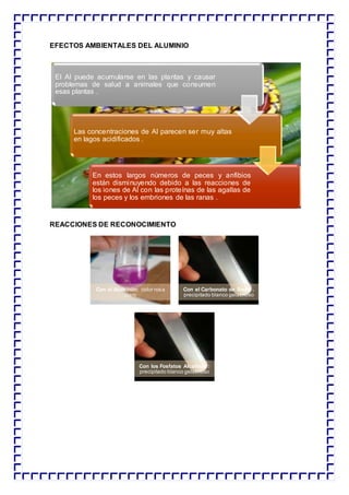 EFECTOS AMBIENTALES DEL ALUMINIO
REACCIONES DE RECONOCIMIENTO
El Al puede acumularse en las plantas y causar
problemas de salud a animales que consumen
esas plantas .
Las concentraciones de Al parecen ser muy altas
en lagos acidificados .
En estos largos números de peces y anfibios
están disminuyendo debido a las reacciones de
los iones de Al con las proteínas de las agallas de
los peces y los embriones de las ranas .
Con el Aluminón: color rosa
claro
Con el Carbonato de Sodio .
precipitado blanco gelatinoso
Con los Fosfatos Alcalinos :
precipitado blanco gelatinoso
 