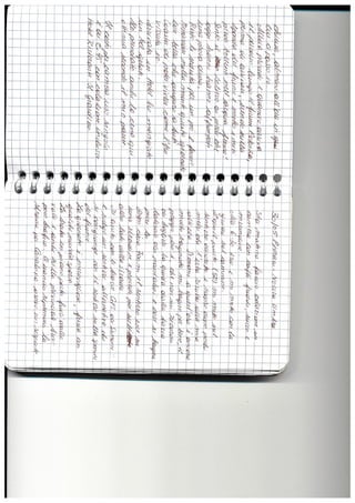 Diario coast 2 coast