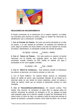 “Todo esveneno,nadaesvenenotododepende de ladosis”
REACCIONES DE RECONOCIMIENTO:
El líquido proveniente de la destrucción de la materia orgánica, es tratado
con amoniaco para disminuir la acidez y luego se realizan las reacciones de
identificación que a continuación se detallan.
1. Con el Cromato de Potasio.- Se pone una porción del líquido en un tubo
de ensayo, o en una cápsula de porcelana, se neutraliza con hidróxido de
sodio, luego se acidifica con ácido acético y se trata con solución de cromato
de potasio, obteniéndose un precipitado amarillo de cromato de potasio.
Pb (NO3)2 + K2CrO4 CrO4Pb + 2KNO3
2. Con el Yoduro de Potasio.- Con este reactivo en solución, al hacerlo
reaccionar con la muestra que contenga plomo, se debe producir un
precipitado amarillo cristalino de l2Pb soluble en caliente con agua y
precipilable en frío como agujillas amarillas.
Pb (NO3)2 + 2IK PbI2 + 2KNO3
3. Con la Difenil tio Carbazona.- Esta sustancia disuelta en tetracloruro
de carbono al reaccionar con el plomo produce un color rojo.
4. Con el Ácido Sulfúrico.- En solución diluida, produce un ,3recipitado
blanco de sulfato de plomo; este precipitado después de ser lavado se le
adicionan gotas de una mezcla de cloruro estannoso, yoduro de potasio y
nitrato de cadmio, hasta que se disuelva el ptecipnado produce un color
anranjado.
5. Con el Tetrametildiaminodifenilmetano.- En solución acética. Para
realizar esta reacción, se humedece el papel filtro en algunas gotas de
solución amoniacal de peróxido de hidrógeno al 3%, se agregan al papel
unas pequeñas gotas de la solución muestra; el papel Oro humedecido se lo
coloca sobre un vidrio de reloj y se calienta a baño de maría para eliminar el
exceso de peróxido y precipitar al plomo corno óxido de plomo. Así, se hace
 