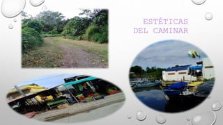 ESTÉTICAS
DEL CAMINAR
 