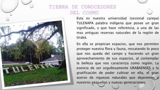 TIERRA DE CONOCEDORES
DEL COSMO
Esta es nuestra universidad (sesional carepa)
TULENAPA palabra indígena que posee un gran
significado, y que hace referencia, a una de las
mas antiguas reservas naturales de la región de
Urabá.
En ella se propician espacios, que nos permiten
proteger nuestra flora y fauna, rescatando lo poco
que nos queda del campo y haciendo un gran
aprovechamiento de sus espacios, al contemplar
la belleza que nos caracteriza como región. La
esencia de ser orgullosamente URABAENSES y la
gratificación de poder cultivar en ella, el gran
acervo de riquezas naturales que dejaremos a
nuestros pequeños y nuevas generaciones.
 