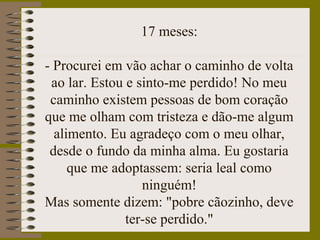 17 meses:
- Procurei em vão achar o caminho de volta
ao lar. Estou e sinto-me perdido! No meu
caminho existem pessoas de bom coração
que me olham com tristeza e dão-me algum
alimento. Eu agradeço com o meu olhar,
desde o fundo da minha alma. Eu gostaria
que me adoptassem: seria leal como
ninguém!
Mas somente dizem: "pobre cãozinho, deve
ter-se perdido."
 