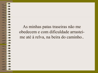 As minhas patas traseiras não me
obedecem e com dificuldade arrastei-
me até à relva, na beira do caminho..
 