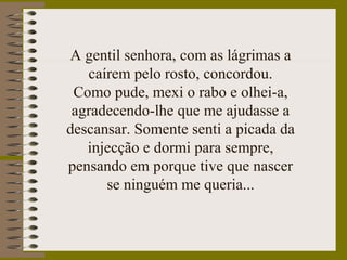 A gentil senhora, com as lágrimas a
caírem pelo rosto, concordou.
Como pude, mexi o rabo e olhei-a,
agradecendo-lhe que me ajudasse a
descansar. Somente senti a picada da
injecção e dormi para sempre,
pensando em porque tive que nascer
se ninguém me queria...
 