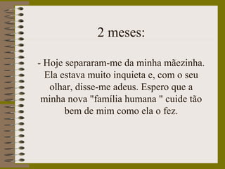 2 meses:
- Hoje separaram-me da minha mãezinha.
Ela estava muito inquieta e, com o seu
olhar, disse-me adeus. Espero que a
minha nova "família humana " cuide tão
bem de mim como ela o fez.
 