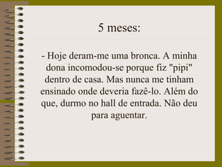 5 meses:
- Hoje deram-me uma bronca. A minha
dona incomodou-se porque fiz "pipi"
dentro de casa. Mas nunca me tinham
ensinado onde deveria fazê-lo. Além do
que, durmo no hall de entrada. Não deu
para aguentar.
 