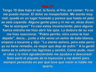 Mes 21: Tengo 10 días bajo el sol, la lluvia, el frío, sin comer. Ya no me puedo mover. El dolor es insoportable. Me siento muy mal; quedé en un lugar húmedo y parece que hasta mi pelo se está cayendo. Alguna gente pasa y ni me ve; otras dicen: "No te acerques" Ya casi estoy inconsciente; pero alguna fuerza extraña me hizo abrir los ojos. La dulzura de su voz me hizo reaccionar. "Pobre perrito, mira como te han dejado", decía... junto a ella venía un señor de bata blanca, empezó a tocarme y dijo: "Lo siento señora, pero este perro ya no tiene remedio, es mejor que deje de sufrir." A la gentil dama se le salieron las lágrimas y asintió. Como pude, moví el rabo y la miré agradeciéndole me ayudara a descansar. Solo sentí el piquete de la inyección y me dormí para siempre pensando en por qué tuve que nacer si nadie me quería. 