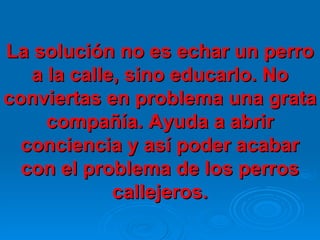 La solución no es echar un perro a la calle, sino educarlo. No conviertas en problema una grata compañía. Ayuda a abrir conciencia y así poder acabar con el problema de los perros callejeros. 