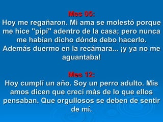 Mes 05: Hoy me regañaron. Mi ama se molestó porque me hice "pipí" adentro de la casa; pero nunca me habían dicho dónde debo hacerlo. Además duermo en la recámara... ¡y ya no me aguantaba! Mes 12: Hoy cumplí un año. Soy un perro adulto. Mis amos dicen que crecí más de lo que ellos pensaban. Que orgullosos se deben de sentir de mí. 