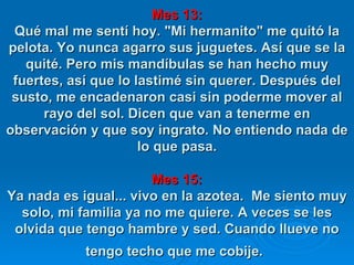 Mes 13: Qué mal me sentí hoy. "Mi hermanito" me quitó la pelota. Yo nunca agarro sus juguetes. Así que se la quité. Pero mis mandíbulas se han hecho muy fuertes, así que lo lastimé sin querer. Después del susto, me encadenaron casi sin poderme mover al rayo del sol. Dicen que van a tenerme en observación y que soy ingrato. No entiendo nada de lo que pasa. Mes 15: Ya nada es igual... vivo en la azotea.  Me siento muy solo, mi familia ya no me quiere. A veces se les olvida que tengo hambre y sed. Cuando llueve no tengo techo que me cobije.   
