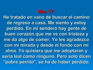 Mes 17: He tratado en vano de buscar el camino de regreso a casa. Me siento y estoy perdido. En mi sendero hay gente de buen corazón que me ve con tristeza y me da algo de comer. Yo les agradezco con mi mirada y desde el fondo con mi alma. Yo quisiera que me adoptaran y seria leal como ninguno. Pero solo dicen "pobre perrito", se ha de haber perdido. 