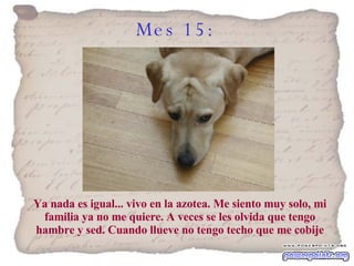 Mes 15:   Ya nada es igual... vivo en la azotea. Me siento muy solo, mi familia ya no me quiere. A veces se les olvida que tengo hambre y sed. Cuando llueve no tengo techo que me cobije 