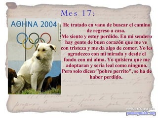 Mes 17:   He tratado en vano de buscar el camino de regreso a casa.  Me siento y estoy perdido. En mi sendero hay gente de buen corazón que me ve  con tristeza y me da algo de comer. Yo les agradezco con mi mirada y desde el fondo con mi alma. Yo quisiera que me adoptaran y seria leal como ninguno. Pero solo dicen "pobre perrito", se ha de haber perdido.  
