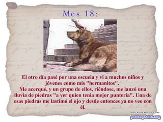 Mes 18:   El otro día pasé por una escuela y vi a muchos niños y jóvenes como mis "hermanitos".  Me acerqué, y un grupo de ellos, riéndose, me lanzó una lluvia de piedras "a ver quien tenia mejor puntería". Una de esas piedras me lastimó el ojo y desde entonces ya no veo con él. 