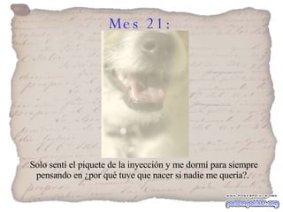 Mes 21:   Solo sentí el piquete de la inyección y me dormí para siempre pensando en ¿por qué tuve que nacer si nadie me quería?.  