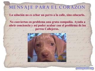 MENSAJE PARA EL CORAZON   La solución no es echar un perro a la calle, sino educarlo.  No conviertas en problema una grata compañía. Ayuda a abrir conciencia y así poder acabar con el problema de los perros Callejeros.   