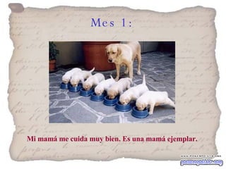 Mes 1:   Mi mamá me cuida muy bien. Es una mamá ejemplar. 