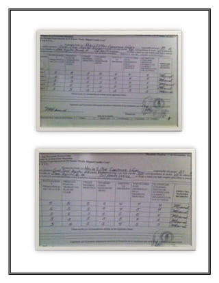 informe 