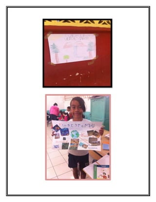 informe 