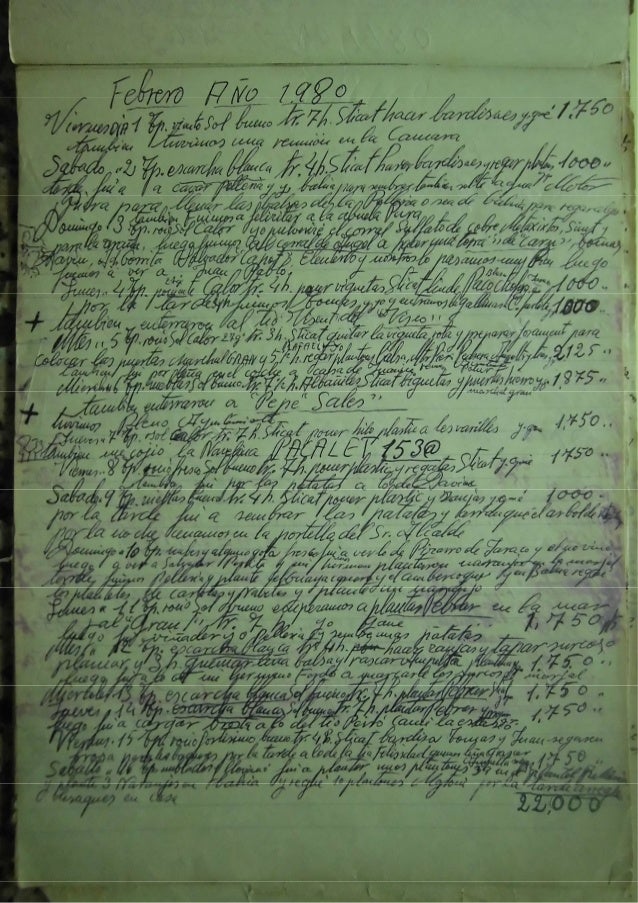 Diari Paco Mariana 1980