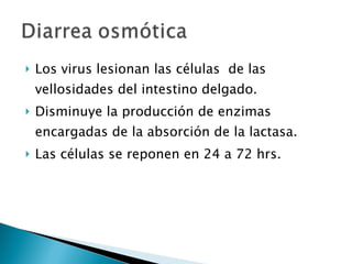 Los virus lesionan las células  de las vellosidades del intestino delgado. Disminuye la producción de enzimas encargadas de la absorción de la lactasa. Las células se reponen en 24 a 72 hrs. 