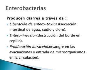Producen diarrea a través de : Liberación de entero-toxinas (secreción intestinal de agua, sodio y cloro). Entero-invasión (destrucción del borde en cepillo). Proliferación intracelular (sangre en las evacuaciones y entrada de microorganismos en la circulación). 