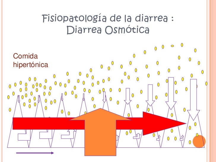 diarrea osmotica y secretora