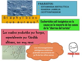 Parásitos:
                                Entamoeba histolytica
                                Giardia lamblia
                                Cryptosporidium

St a p h y l o c o c
 c u s a u r e u s * Escherichia coli toxigénica es la
                       causa en la mayoría de los casos
                       de la “diarrea del turista”
Los cuadros producidos por hongos,
  especialmente por Cándida
  albicans, son muy raros
                         Los microorganismos
                         patógenos entéricos
                        puenden encontrarse en
                        30 % de los niños sanos
 
