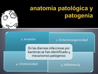1. Invasión              2. Enterotoxigenicidad

        En las diarreas infecciosas por
        bacterias se han identificado 4
          mecanismos patógenos:

4. Citotoxicidad                3. Adherencia
 