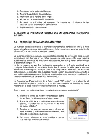 1. Promoción de la lactancia Materna.
   2. Mejorar las prácticas de ablactación.
   3. Promoción de la higiene en el hogar.
   4. Promoción del saneamiento ambiental.
   5. Promover la aplicación del esquema de vacunación principalmente las
      vacunas contra el sarampión y el rotavirus.
   6. Suplementación con vitamina A

3. MEDIDAS DE PREVENCIÓN CONTRA LAS ENFERMEDADES DIARREICAS
AGUDAS.


3.1.    PROMOCIÓN DE LA LACTANCIA MATERNA

La nutrición adecuada durante la infancia es fundamental para que el niño y la niña
desarrollen plenamente su potencial humano; de tal manera que para los lactantes la
alimentación al seno materno no tiene paralelo.

La lactancia materna es una de las principales medidas de prevención para reducir
la incidencia por diarreas en los niños menores de seis meses1. De igual manera
sufren menos episodios de infecciones respiratorias, del oído y tienen menos riesgo
a desarrollar alergias 2,3.
La leche materna provee los nutrimentos necesarios en suficiente cantidad para
cualquier bebé desde el nacimiento hasta los 6 meses de vida. Aparte de sus
beneficios inmunológicos, siempre está a la temperatura adecuada, no necesita
esterilización, es gratuita y casi todas las madres pueden amamantar exitosamente a
sus bebés; además promueve los lazos emocionales entre la madre y su hija(o) y
también hay beneficios para la salud de la madre.2,3

La Organización Panamericana de la Salud, en el 2006, estimó que al alimentar al
seno materno se podría prevenir 13% de los 10.6 millones de muertes de niños
menores de 5 años que suceden anualmente en el mundo.4

Para obtener una lactancia exitosa, se debe tomar en cuenta lo siguiente:5

   1. Informar a todas las madres embarazadas sobre
      las ventajas de alimentar con el seno materno.
   2. Fomentar el inicio de la lactancia materna lo antes
      posible, de preferencia en la primera media hora
      de nacido el bebé.3
   3. Enseñar a las nuevas mamás cómo ofrecer el
      seno materno y cómo mantener la lactancia, aun
      estando separadas de sus hijos.                                       www.aeped.es
   4. No ofrecer alimentos u otros líquidos a menos          Figura 7: Lactancia materna
      que sea bajo prescripción médica.




                                                                                           29
 