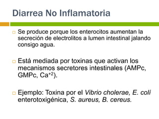 Diarrea No Inflamatoria
   Se produce porque los enterocitos aumentan la
    secreción de electrolitos a lumen intestinal...