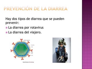 Hay dos tipos de diarrea que se pueden
prevenir:
 La diarrea por rotavirus
 La diarrea del viajero.
 