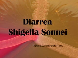 Diarrea
Shigella Sonnei
Profesora.Lucía Navarrete T. 2013
 