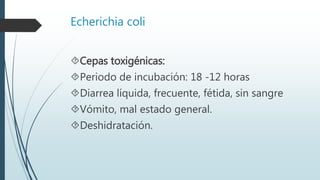 Echerichia coli
Cepas toxigénicas:
Periodo de incubación: 18 -12 horas
Diarrea líquida, frecuente, fétida, sin sangre
Vómito, mal estado general.
Deshidratación.
 