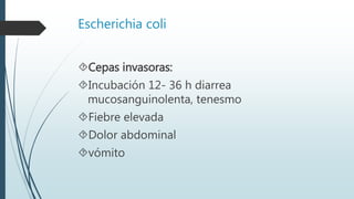 Escherichia coli
Cepas invasoras:
Incubación 12- 36 h diarrea
mucosanguinolenta, tenesmo
Fiebre elevada
Dolor abdominal
vómito
 