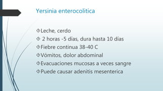 Yersinia enterocolitica
Leche, cerdo
 2 horas -5 días, dura hasta 10 días
Fiebre continua 38-40 C
Vómitos, dolor abdominal
Evacuaciones mucosas a veces sangre
Puede causar adenitis mesenterica
 