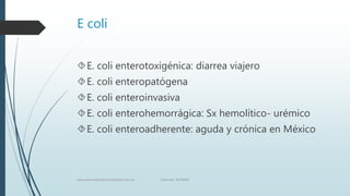 E coli
E. coli enterotoxigénica: diarrea viajero
E. coli enteropatógena
E. coli enteroinvasiva
E. coli enterohemorrági...