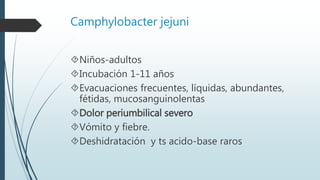 Camphylobacter jejuni
Niños-adultos
Incubación 1-11 años
Evacuaciones frecuentes, líquidas, abundantes,
fétidas, mucosa...