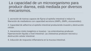 La capacidad de un microorganismo para
producir diarrea, está mediada por diversos
mecanismos.
1. secreción de toxinas capaces de fijarse al epitelio intestinal e inducir la
liberación de mediadores con capacidad secretora (AMPc, GMPc, eicosanoides).
2. Capacidad de adherirse al epitelio intestinal produciendo invasión y destrucción
celular.
3. mecanismo mixto toxigénico e invasivo: Las enterotoxinas producen
hipersecreción líquida a nivel intestinal. Las citotoxinas producen necrosis y
destrucción celular intestinal.
4. inducción de respuesta inflamatoria en la mucosa intestinal.
 