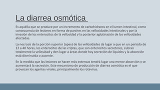 La diarrea osmótica
Es aquélla que se produce por un incremento de carbohidratos en el lumen intestinal, como
consecuencia de lesiones en forma de parches en las vellosidades intestinales y por la
invasión de los enterocitos de la vellosidad y la posterior aglutinación de las vellosidades
afectadas.
La necrosis de la porción superior (apex) de las vellosidades da lugar a que en un período de
12 a 40 horas, los enterocitos de las criptas, que son enterocitos secretores, cubran
totalmente la vellosidad y den lugar a áreas donde hay secreción de líquidos y la absorción
está disminuida o ausente.
En la medida que las lesiones se hacen más extensas tendrá lugar una menor absorción y se
aumentará la secreción. Este mecanismo de producción de diarrea osmótica es el que
provocan los agentes virales, principalmente los rotavirus.
 