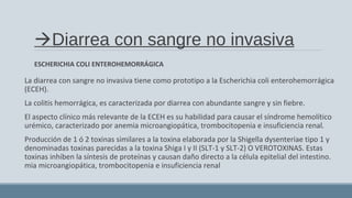 Diarrea con sangre no invasiva
ESCHERICHIA COLI ENTEROHEMORRÁGICA
La diarrea con sangre no invasiva tiene como prototipo a la Escherichia coli enterohemorrágica
(ECEH).
La colitis hemorrágica, es caracterizada por diarrea con abundante sangre y sin fiebre.
El aspecto clínico más relevante de la ECEH es su habilidad para causar el síndrome hemolítico
urémico, caracterizado por anemia microangiopática, trombocitopenia e insuficiencia renal.
Producción de 1 ó 2 toxinas similares a la toxina elaborada por la Shigella dysenteriae tipo 1 y
denominadas toxinas parecidas a la toxina Shiga I y II (SLT-1 y SLT-2) O VEROTOXINAS. Estas
toxinas inhiben la síntesis de proteínas y causan daño directo a la célula epitelial del intestino.
mia microangiopática, trombocitopenia e insuficiencia renal
 