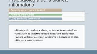 Fisiopatología de la diarrea
inflamatoria
 