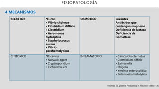 FISIOPATOLOGÍA
4 MECANISMOS
Thomas G. DeWitt Pediatrics in Review 1989;11;6
SECRETOR *E. coli
• Vibrio cholerae
• Clostridium difficle
• Clostridium
• Aeromonas
hydrophila
• Staphylococcus
aureus
• Vibrio
parahemolyticus
OSMOTICO Laxantes
Antiácidos que
contengan magnesio
Deficiencia de lactasa
Deficiencia de
isomaltasa
CITITOXICO *Rotavirus
• Norwalk agent
• Cryptosporidium
• Escherichia col
INFLAMATORIO • Campylobacter fetus
• Clostridium difficle
• Salmonella
• Shigella
• Yersinia enterocolitica
• Entamoeba histolytica
 