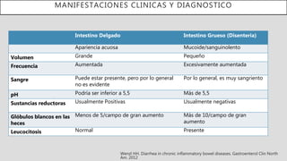 MANIFESTACIONES CLINICAS Y DIAGNOSTICO
Wenzl HH. Diarrhea in chronic inflammatory bowel diseases. Gastroenterol Clin North
Am. 2012
Intestino Delgado Intestino Grueso (Disenteria)
Apariencia acuosa Mucoide/sanguinolento
Volumen Grande Pequeño
Frecuencia Aumentada Excesivamente aumentada
Sangre Puede estar presente, pero por lo general
no es evidente
Por lo general, es muy sangriento
pH Podría ser inferior a 5,5 Más de 5,5
Sustancias reductoras Usualmente Positivas Usualmente negativas
Glóbulos blancos en las
heces
Menos de 5/campo de gran aumento Más de 10/campo de gran
aumento
Leucocitosis Normal Presente
 